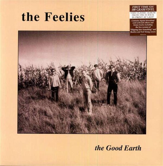 Cover for Feelies · The Good Earth (LP) (2010)