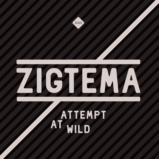 Cover for Zigtema · Attempt At Wild (CD) (2020)