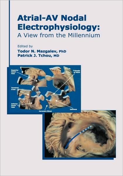 Atrial-AV Nodal Electrophysiology: A View from the Millennium - Mazgalev - Books - John Wiley and Sons Ltd - 9780879934613 - June 7, 2000