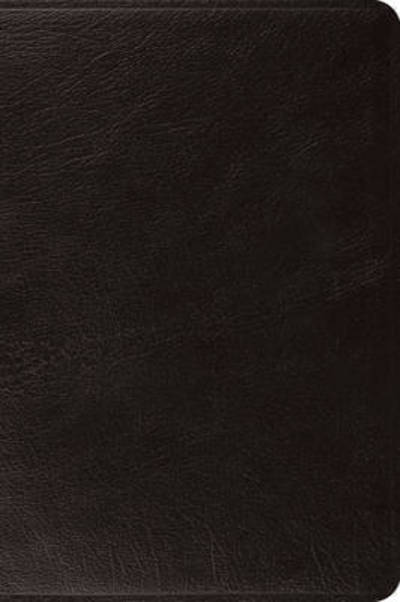 ESV Large Print Bible - - Books - Crossway Books - 9781433557613 - August 31, 2017