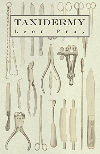 Cover for Leon Pray · Taxidermy (Paperback Book) (2010)