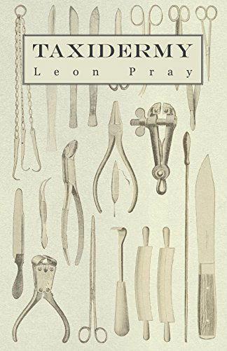 Cover for Leon Pray · Taxidermy (Pocketbok) (2010)