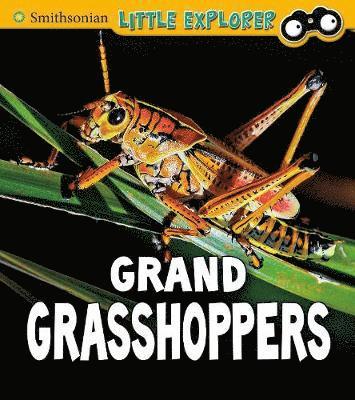 Cover for Megan Cooley Peterson · Grand Grasshoppers - Insect Explorer (Inbunden Bok) (2019)