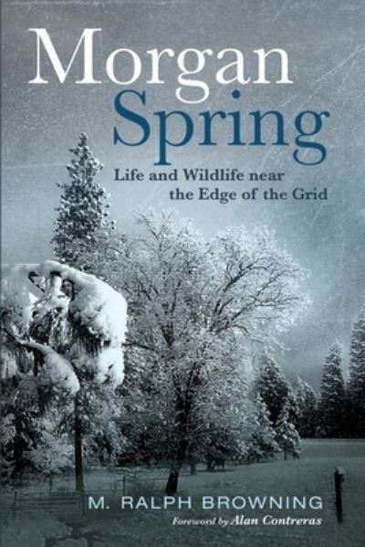 Cover for M Ralph Browning · Morgan Spring (Paperback Book) (2021)