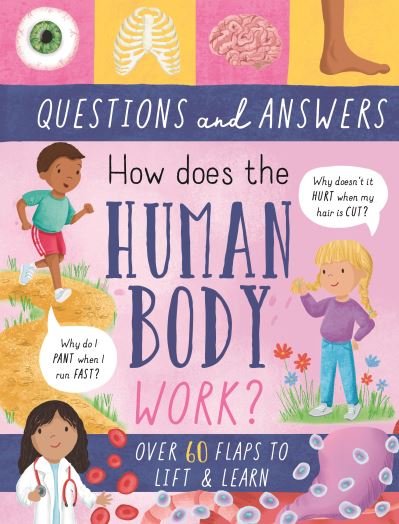 How Does the Human Body Work? - Lift-the-Flap Questions & Answers Board Book - Rachel Moss - Książki - North Parade Publishing - 9781839234613 - 15 kwietnia 2023