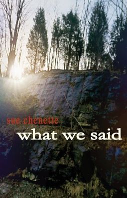 What We Said - Sue Chenette - Books - MOTES - 9781934894613 - September 1, 2019