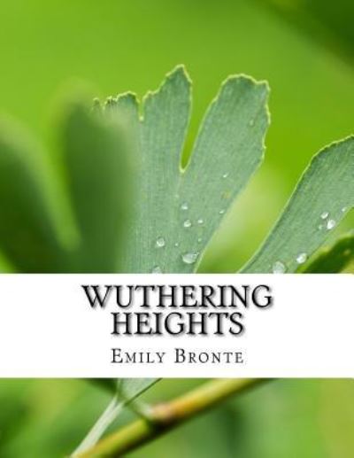 Wuthering Heights - Emily Bronte - Livros - Createspace Independent Publishing Platf - 9781977761613 - 29 de setembro de 2017