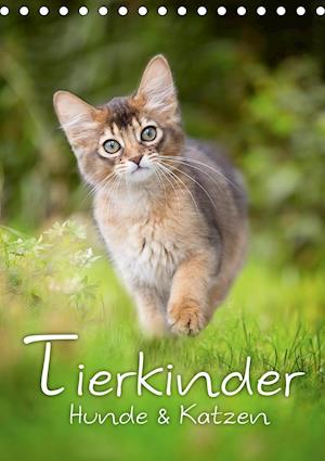 Cover for Noack · Tierkinder Hunde und Katzen (Tisc (Book)