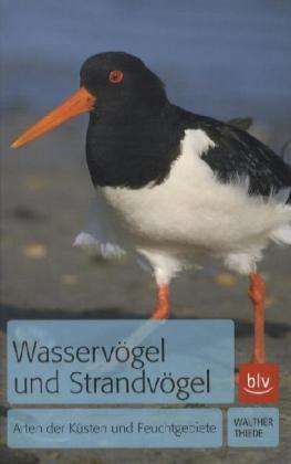 Cover for Thiede · Wasservögel und Strandvögel (Book)