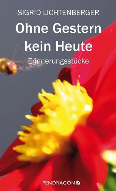 Cover for Lichtenberger · Ohne Gestern kein Heute (Book)