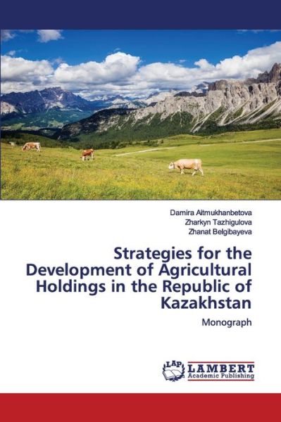 Cover for Aitmukhanbetova · Strategies for the Deve (Book) (2020)