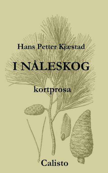 Cover for Hans Petter Kjæstad · I Nåleskog (Hardcover Book) [Norwegian edition] (2014)