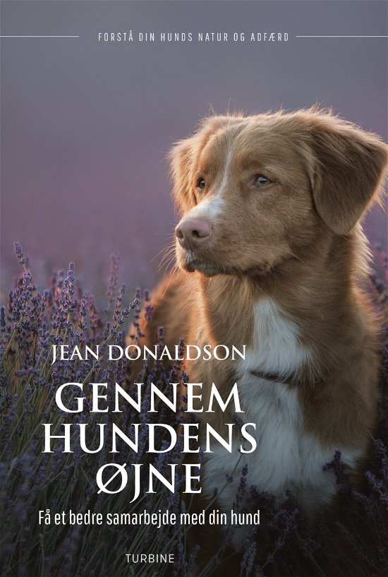Cover for Jean Donaldson · Gennem hundens øjne (Hæftet bog) [1. udgave] (2020)