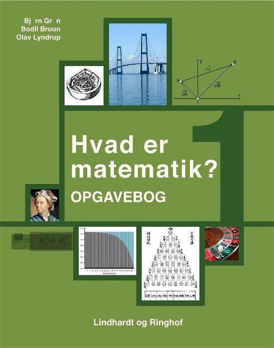 Cover for Bjørn Grøn; Bodil Bruun; Olav Lyndrup · Hvad er matematik: Hvad er matematik? 1, Opgavebog (Hæftet bog) [2. udgave] (2019)