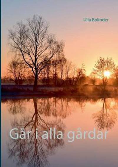 Cover for Bolinder · Går i alla gårdar (Bog) (2016)