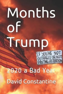 Cover for David Constantine · Months of Trump (Paperback Bog) (2020)