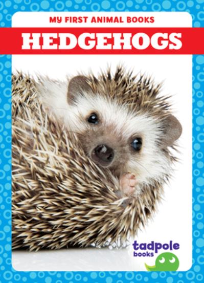 Cover for Marie Brandle · Hedgehogs - My First Animal Books (Hardcover Book) (2024)