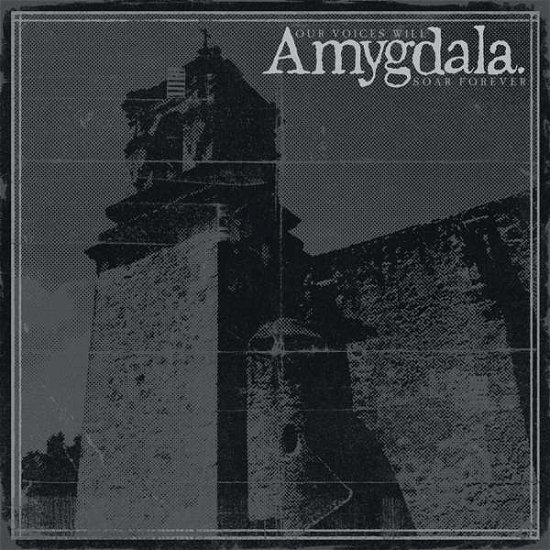 Cover for Amygdala · Our Voices Will Soar Forever (LP) (2019)