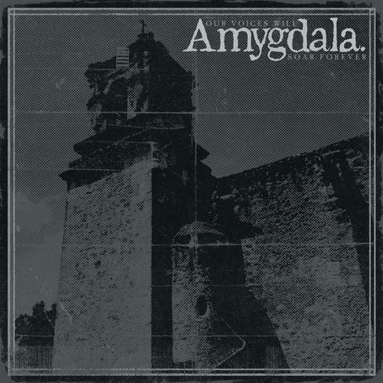 Cover for Amygdala · Our Voices Will Soar Forever (LP) (2019)