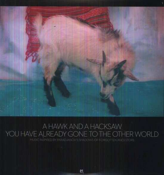 Cover for A Hawk And A Hacksaw · You Have Already Gone To The Other World (LP) (2013)