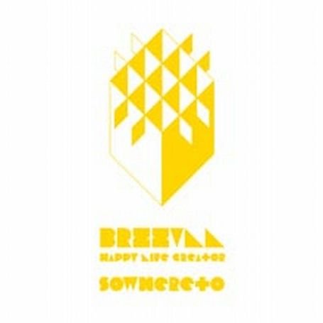 Cover for Brzzvll · Sowhereto (7&quot;) (2010)