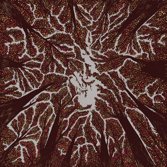 Cover for Trash Boat · Crown Shyness (WINYL) (2024)