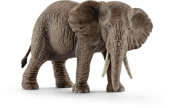 Cover for Schleich · Schleich Afrikaanse Olifant Vrouwtje (Toys) (2019)