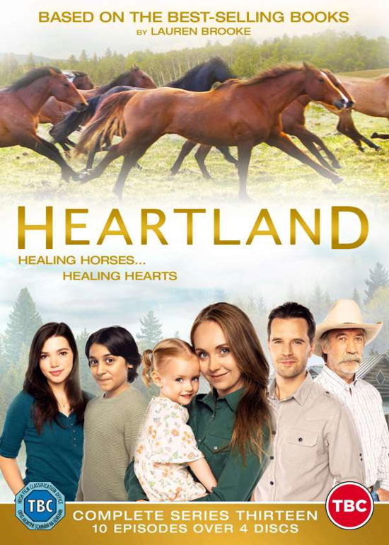 Heartland Series 13 - Heartland  the Complete 13th Season - Films - 4Digital Media - 5034741418614 - 30 november 2020