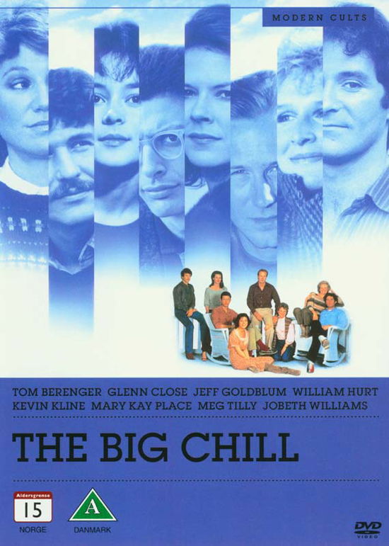 Big Chill -  - Filme - Sony - 5051162308614 - 30. April 2013