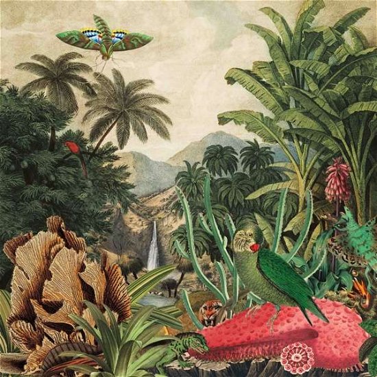 Cover for Lagoss · Imaginary Island Music Vol. 1 (LP) [Limited edition] (2020)