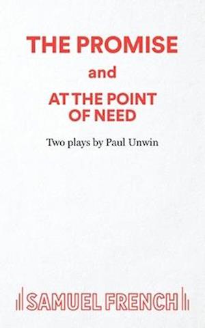 Cover for Paul Unwin · The Promise and At the Point of Need (Paperback Book) (2024)