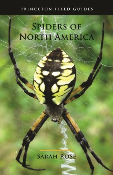 Cover for Sarah Rose · Spiders of North America - Princeton Field Guides (Paperback Book) (2022)