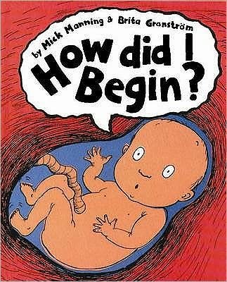 Cover for Mick Manning · How Did I Begin? (Paperback Book) (2004)