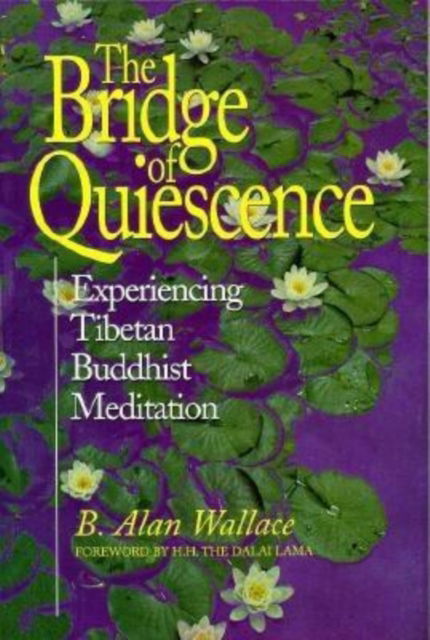 Cover for B. Alan Wallace · Bridge of Quiescence: Experiencing Tibetan Buddhist Meditation (Paperback Book) (1998)