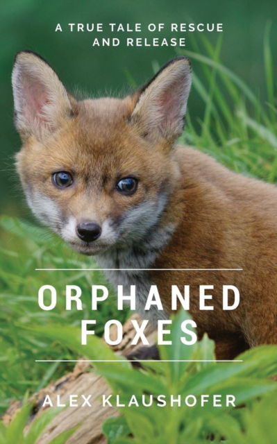 Cover for Alex Klaushofer · Orphaned Foxes : A true tale of rescue and release (Pocketbok) (2018)