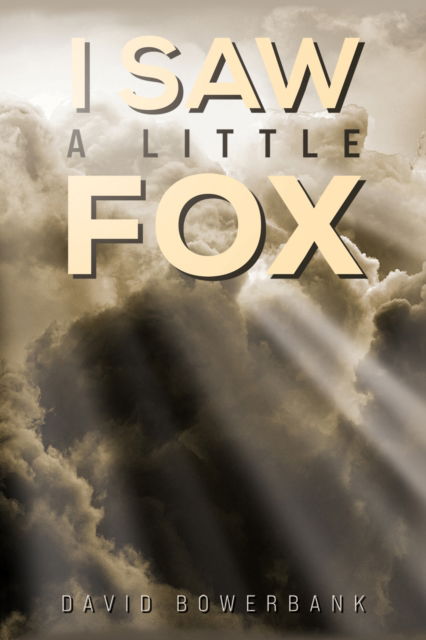 Cover for David Bowerbank · I Saw a Little Fox (Paperback Book) (2024)