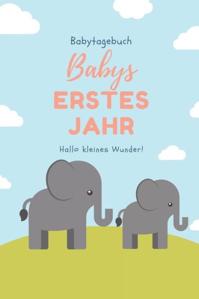 Cover for Baby Bucher Tagebuch · Babytagebuch Babys Erstes Jahr Hallo Kleines Wunder (Paperback Book) (2019)