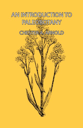 Cover for Chester A. Arnold · An Introduction to Paleobotany (Taschenbuch) (2007)