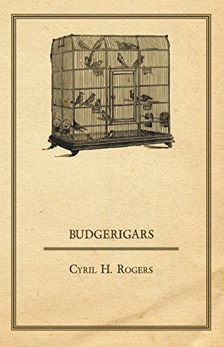 Cover for Cyril H. Rogers · Budgerigars (Paperback Book) (2011)