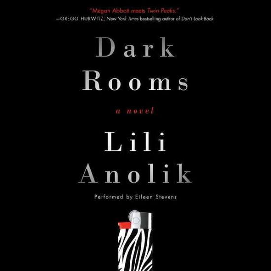 Dark Rooms - Lili Anolik - Music - Audiogo - 9781481533614 - March 3, 2015