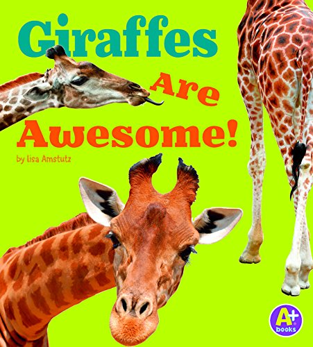 Cover for Lisa J. Amstutz · Giraffes Are Awesome! (Awesome African Animals!) (Hardcover Book) (2015)