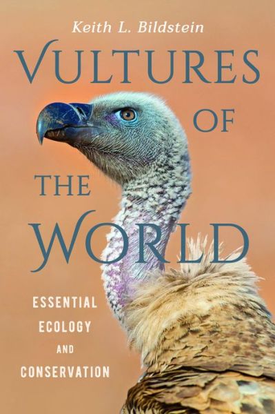 Cover for Keith L. Bildstein · Vultures of the World: Essential Ecology and Conservation (Hardcover Book) (2022)