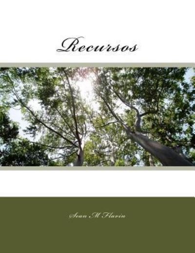 Cover for Sean M Flavin · Recursos (Paperback Book) (2016)
