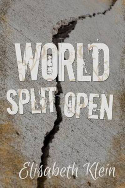 Cover for Elisabeth Klein · World Split Open (Taschenbuch) (2014)