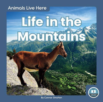 Cover for Connor Stratton · Life in the Mountains - Animals Live Here (Paperback Book) (2020)