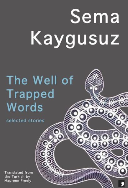 Cover for Sema Kaygusuz · The Well of Trapped Words: Selected Stories (Paperback Book) (2015)