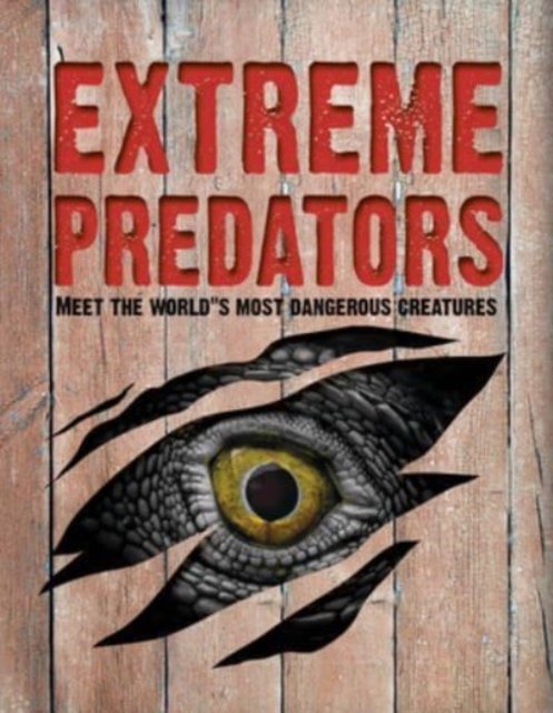 Cover for John Allan · Extreme Predators: Meet the World's Most Dangerous Animals (Paperback Bog) (2024)