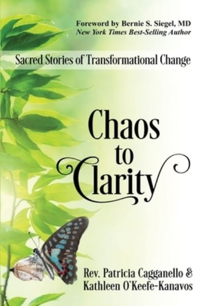 Cover for REV Patricia Cagganello · Chaos to Clarity (Paperback Book) (2019)