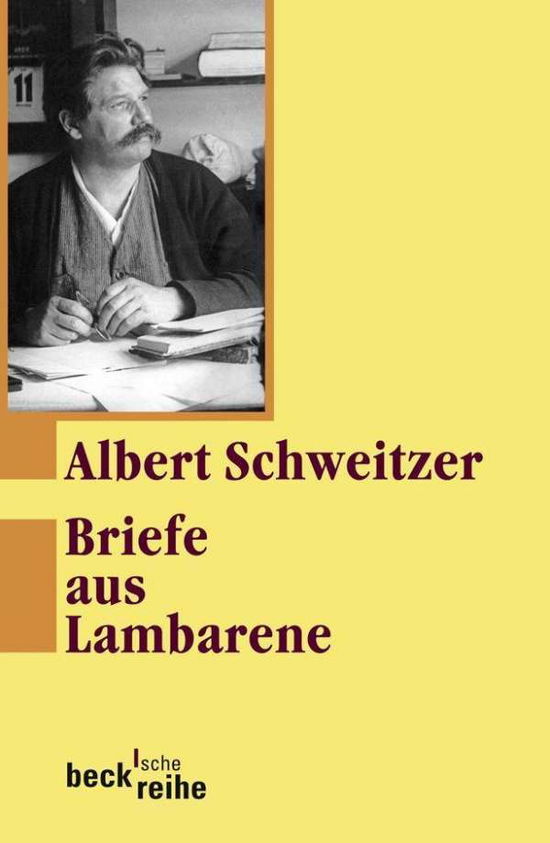 Cover for Albert Schweitzer · Schweitzer.briefe (Book)