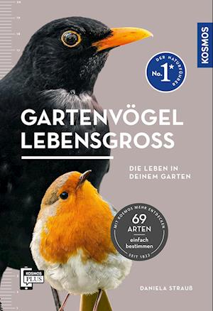 Cover for Daniela Strauß · Gartenvögel lebensgroß (Book) (2024)